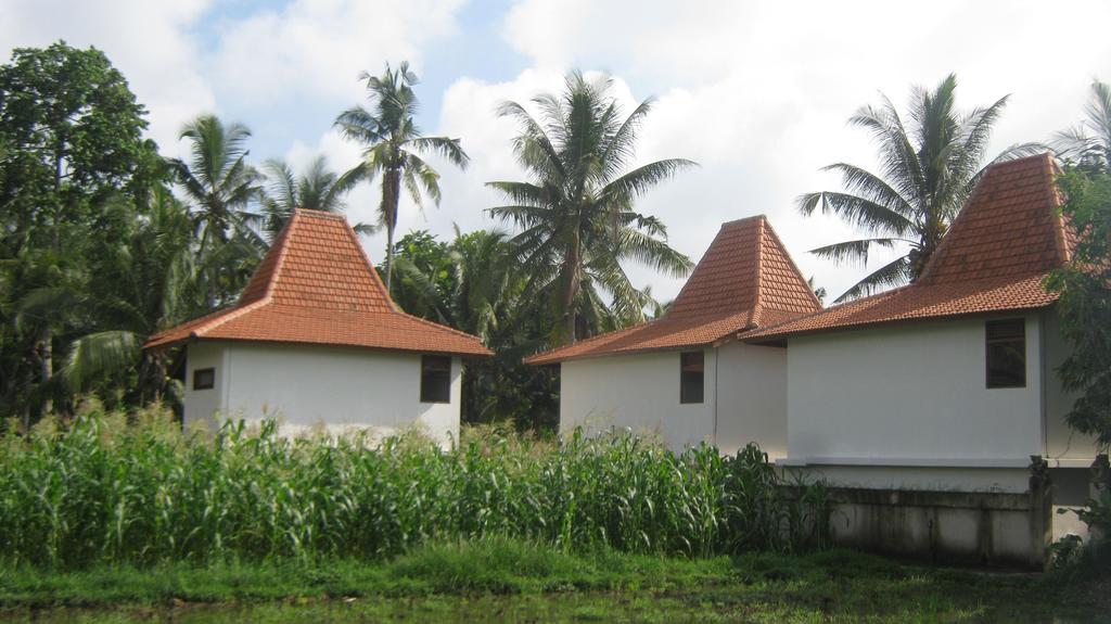 Mahanadewi Villa อูบุด ภายนอก รูปภาพ